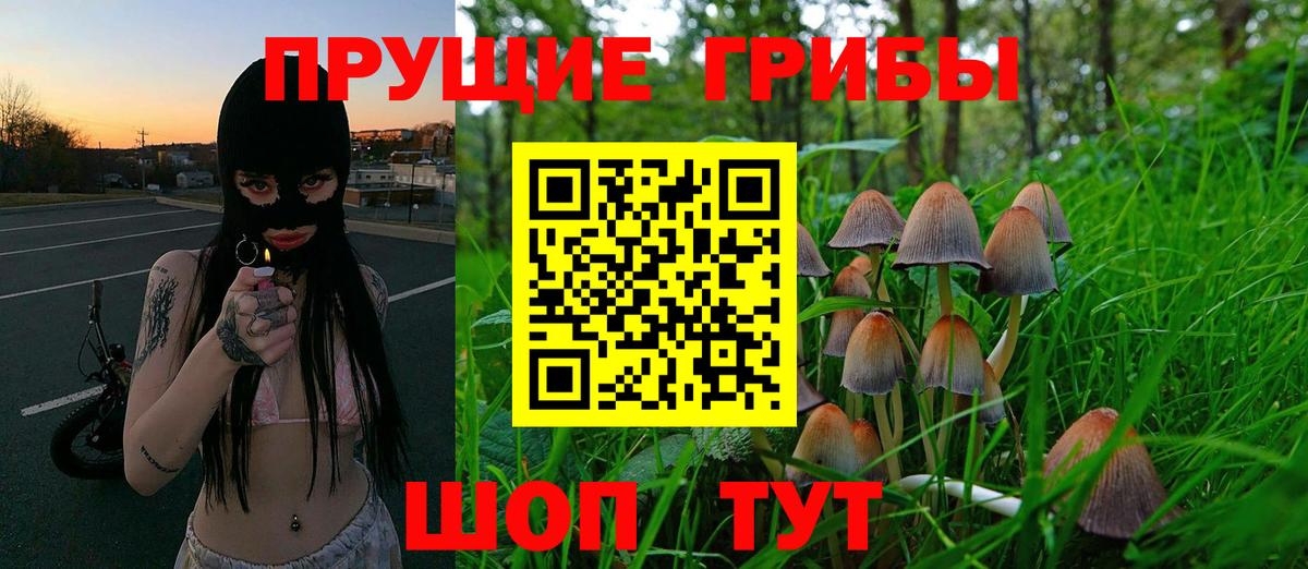 Галлюциногенные грибы Psilocybe Серпухов